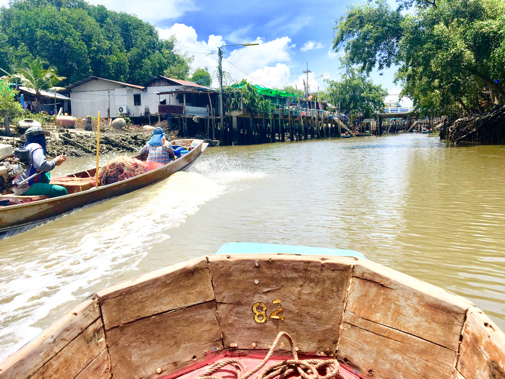 Racing up waterway through mangroves- Don Hoi Lot