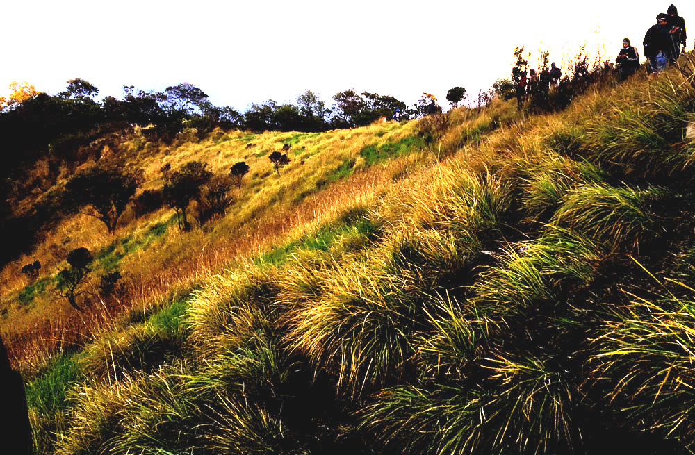 tussok-climb-bromo-view