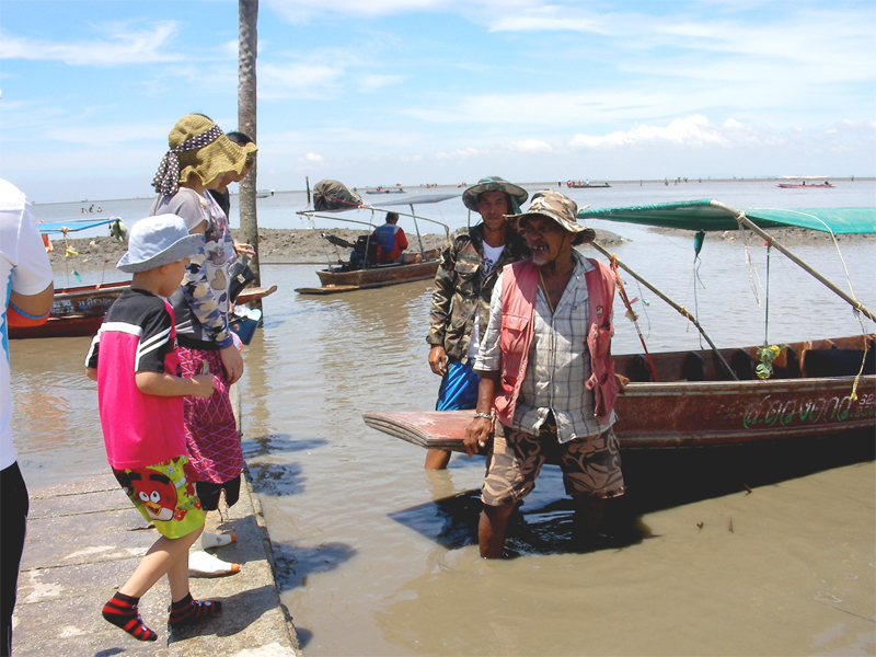 Don Hoi Lot at The Mouth of The Maeklong