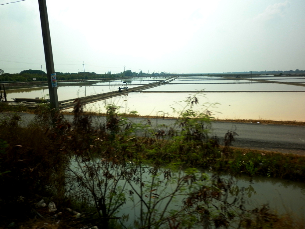 Evaporative Salt-ponds