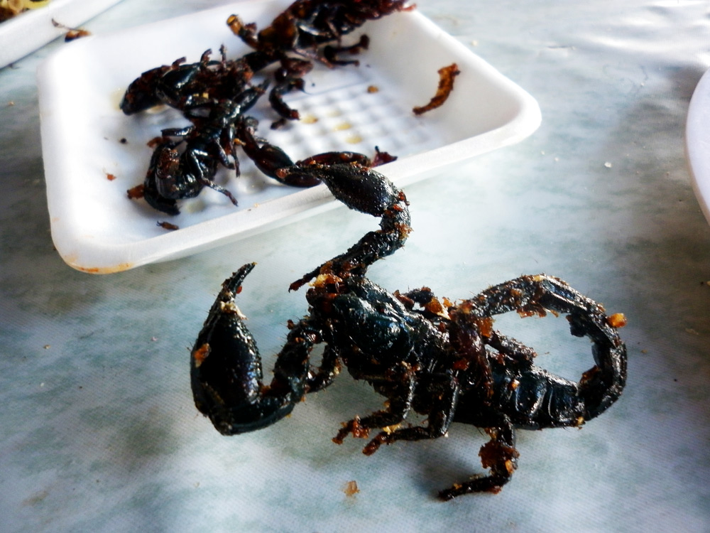 Crispy Fried Scorpions