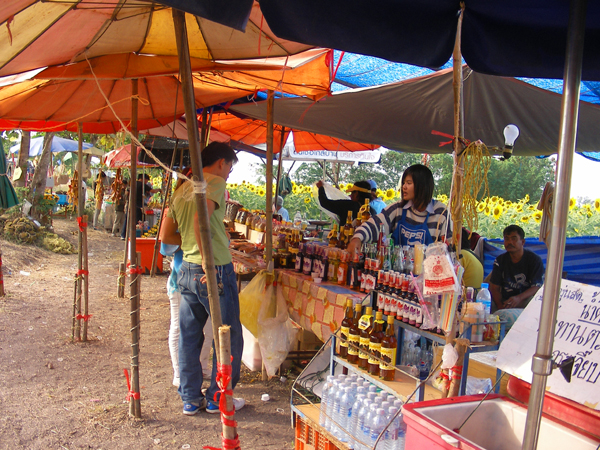 Stallholders near Saraburi Sunflower crops